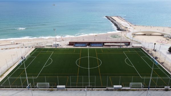 Avatar Tailwind CSS Component