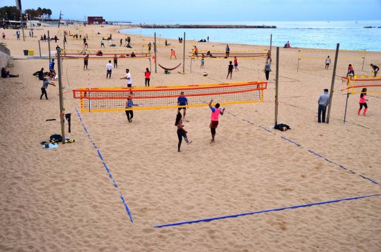 Avatar Tailwind CSS Component